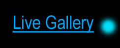 Live Gallery